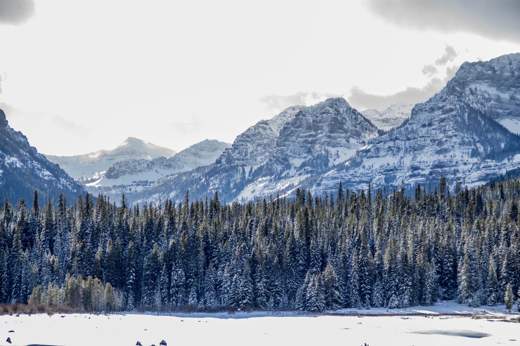 A Guide to Snowshoeing in Bozeman 